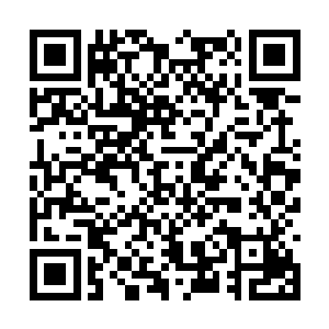 原本属于他的力量经过一代的遗传有了一些灵魂忧二维码生成