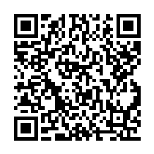 原本已经钻到被子里的妙言这个时候又钻了出来二维码生成