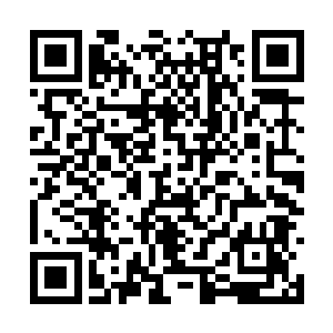原本我这一次前往杀戮界邀请楚王庭加入我们楚门二维码生成