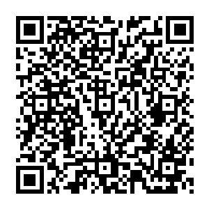原本抬起头的黑死虫听见小纯的声音竟然惨叫一声滋溜的窜进各自主人的衣服里不愿出来二维码生成