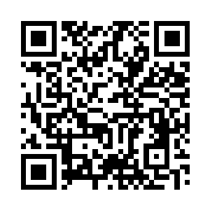 原本是同样生存在这个世界的简单生灵二维码生成