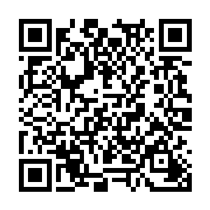 原本暗淡的混沌种子在下一刻瞬间变得光亮了起来二维码生成