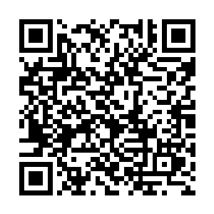 原本有一腔为妹妹报仇的热血也在一瞬间回归原位二维码生成