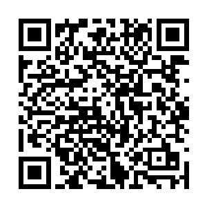 原本有些脆弱的经脉此时也渐渐的变得凝实了不少二维码生成