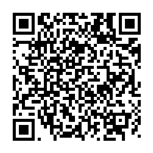 原本气息还在消散的蛟龙忽然感受到一股强大的力量落在了它的身上二维码生成