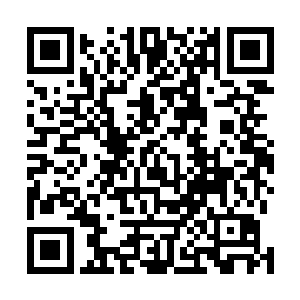 原本没有缝隙的门户中央突然出现一道巴掌宽的血红竖纹二维码生成