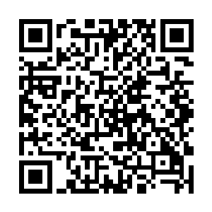 原本满怀失望打算离开的塔听到这一句之后顿住步子二维码生成