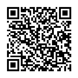 原本炼天神鼎上面的残破的地方也渐渐的被修复完毕二维码生成
