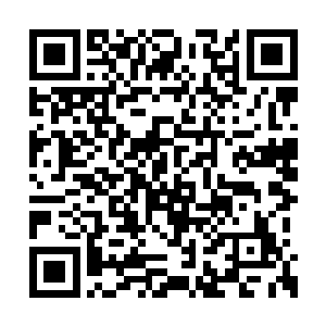 原本白皙美丽的玉臂顿时变得鲜血淋漓惨不忍睹二维码生成