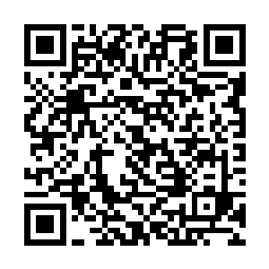 原本空无一物的平原上却是忽然出现了一个动荡不定二维码生成