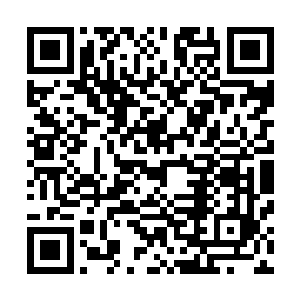原本空无一物的手中便出现了一本厚厚的似账册一样的东西二维码生成