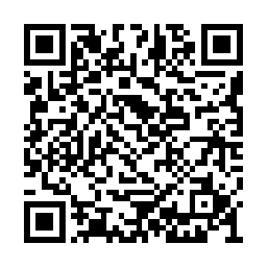 原本能拍卖到二十三万这个价格已经很让满意了二维码生成