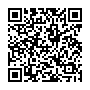 原本脸上的紧张和戒备顿时也直接消失的无影无踪二维码生成