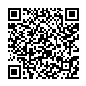原本让怀远堂几个长老使用的飞舟也被退了回去二维码生成
