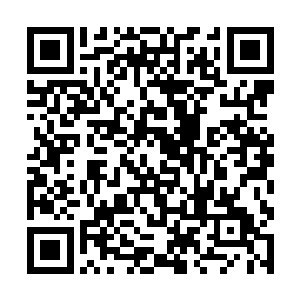 原本许紫烟成为炼丹殿的弟子就已经够他们羡慕的了二维码生成