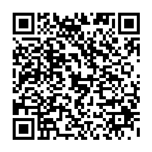 原本跟在后面的一群鹤鸟开始进入了海水里开始用长长的嘴捕起了水中的鱼二维码生成