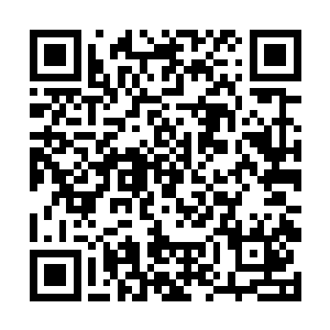 原本还一往无前的罡气似乎立刻意识到了危险的存在二维码生成