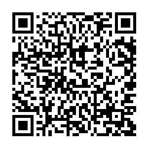 原本还在不断挣扎着的幽冥火在地心之炎的引导下开始进入了林烽的星云之中二维码生成