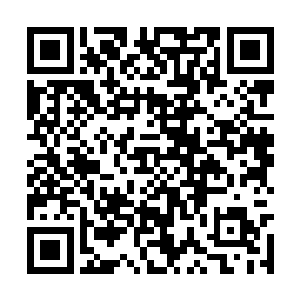 原本这个家伙在自己面前根本无法展开全部力量的二维码生成