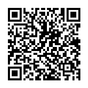 原本这里还有阎家留下的一座威能不弱的禁阵护持着此石笋林二维码生成