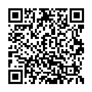 原本那些家伙还准备要借此机会狠狠的赢一把的二维码生成