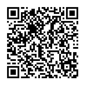 原本那暗红色的散发出一道道金属光泽的鳞片此时已经布满了一道道裂痕二维码生成