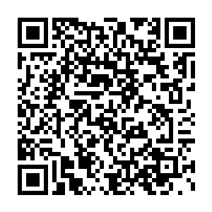 原来伪纪录片还真有人会看第二回他现在是希望tpt冲上天空的死忠二维码生成