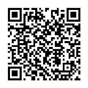 原来是几个俏皮小丫头簇拥着一位苗苗条条的小姐二维码生成