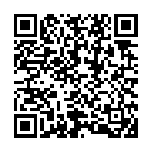 原来是很远很远的表妹……那血缘关系都不知道稀薄成什么了二维码生成