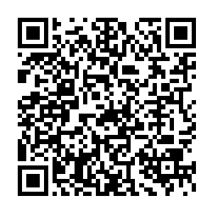 原来秦夫人披在身上的那件外套在方才挣扎的过程中已经掉落下来二维码生成