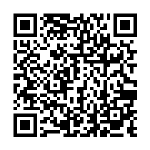 原来这凝霜冰凌破是可以根据苏澈的意念变做各种形态二维码生成