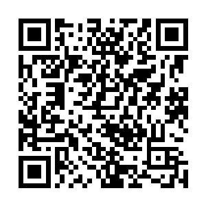 去一个离圣界稍微远一点的地方慢慢解决躲在神殿内的剑尘二维码生成