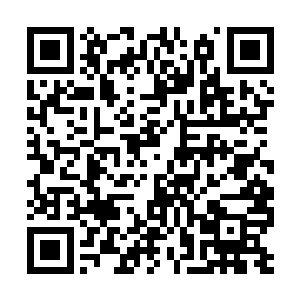 去了城主府手中不留痕迹的递给一个护卫一枚戒指二维码生成