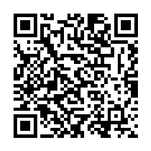 去做你想做的任何事情……你还有一个学期才要毕业二维码生成