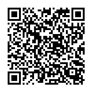 去参加被看中就会被直接带走当对象的宴会··九音宗怕是也舍不得吧~二维码生成