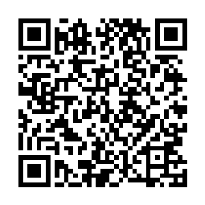 去年奥斯卡结束之后他们就没有仔细谈过新作品的计划了二维码生成