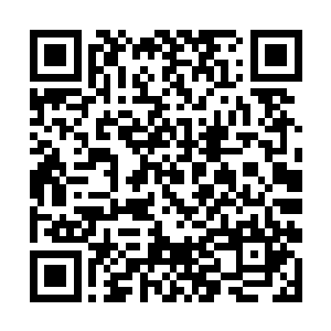 去往土崖部落和渔妇族收集种子和植株等就非常重要二维码生成