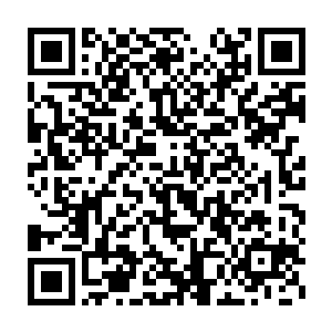 县长沈子烈两人都亲自在南潭宾馆门口亲自迎候到了莅临的十多位客人二维码生成