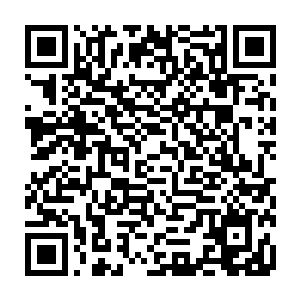 参加这次人参果会的佛道妖三脉后辈之中会不会出现什么让人惊喜的人物呢二维码生成