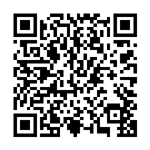 又从储物袋里取出一本半旧的书籍和一个拳头大的暗红色小葫芦二维码生成