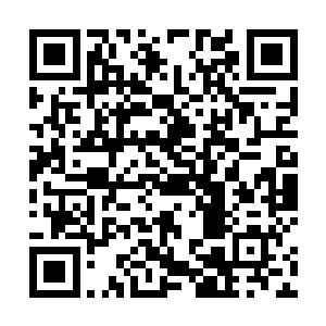 又从自己普通的首饰盒里挑出一条长串的东海珍珠项链二维码生成