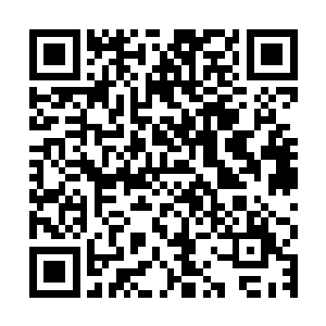 又伸手将被注入了法力发出淡淡白光的玉棒安放在桌上一个孔内二维码生成