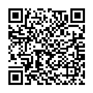 又何必顾念这个根本不在意教众死亡的所谓教主呢二维码生成