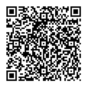 又像是小草在悬崖上苦等了一个又一个春秋终于迎来了一场畅快淋漓的春雨……因为有了足够漫长的等待作为铺垫二维码生成