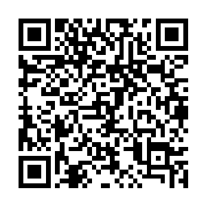 又凭什么去打败现在已是筑基中期的大长老木戮呢二维码生成