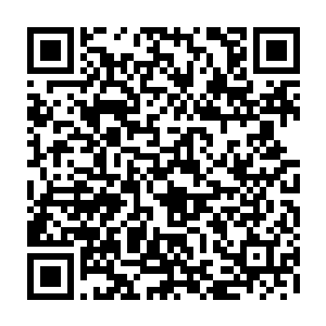 又去紫烟空间给器一等六个人各自布设了一个小型的一比一千的小型阵法二维码生成