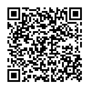 又岂会来苍茫界这等偏远弱小的界土的一座僻远的小界岛称王称霸二维码生成