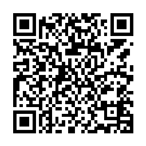 又或者我告诉你这失魂引根本就没有解药你会不会有一些愧疚二维码生成