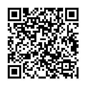 又是怎么知道在白玉棺材中藏着这几块金丝玉简残片的二维码生成