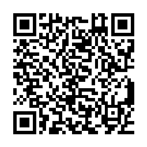 又有几个刚才没有被许紫烟杀到的小队长带着修士冲进了杀阵二维码生成